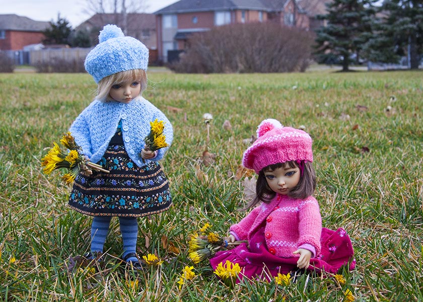 Dandelions in December